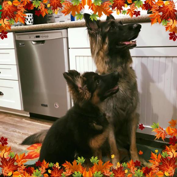 Meet your Posher, Terri - Picture 1 of 1